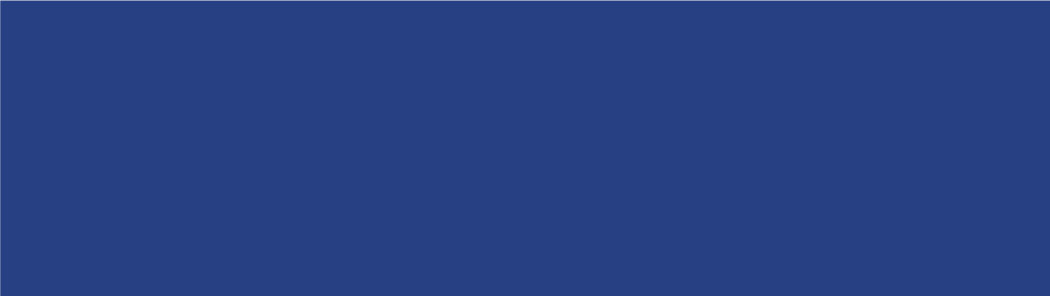 Primary blue color swatch.